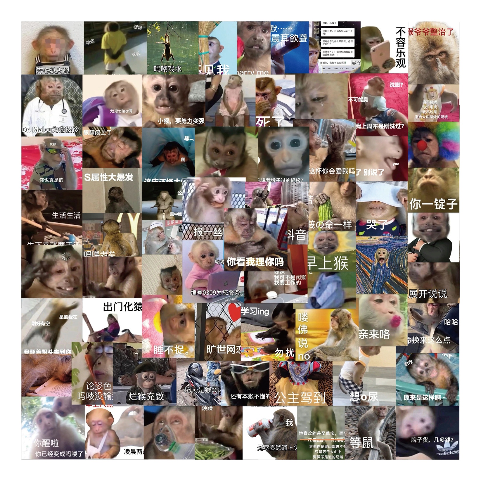 小猴子吗喽表情包贴纸沙雕搞笑创意装饰手机壳笔记本电脑防水贴画