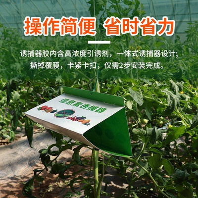 中捷四方番茄潜麦蛾一体诱捕器