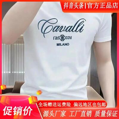 师凯服饰Amphelisia美式痞帅潮流重磅纯棉短袖T恤男圆领个性夏季