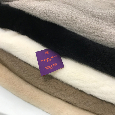 MT皮草进口紫标天鹅绒捡漏