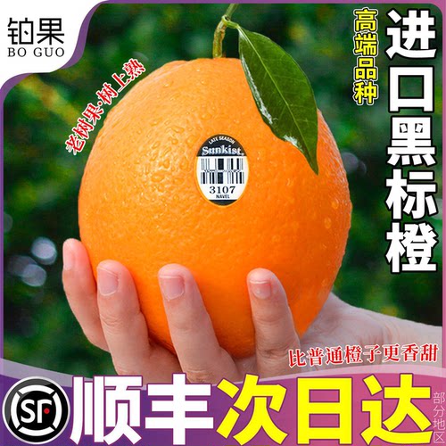 美国新奇士进口橙子大果