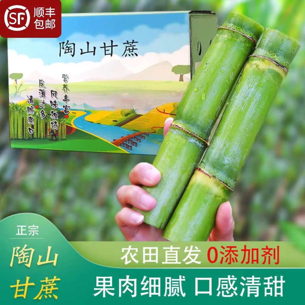 浙江温州青皮新鲜水果礼盒装