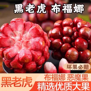 黑老虎布福娜果恶魔果实新鲜稀奇古怪的水果罕见稀有当季稀奇尝鲜