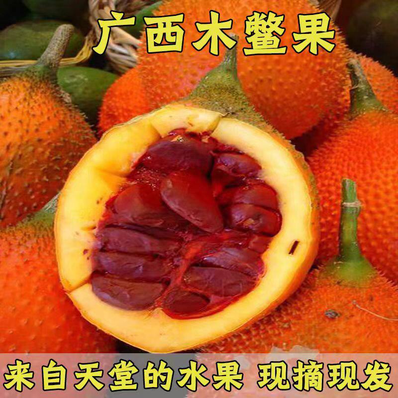 广西新鲜现摘3斤木鳖果 农家散种木鳖瓜漏苓子甜葫芦天堂果包邮