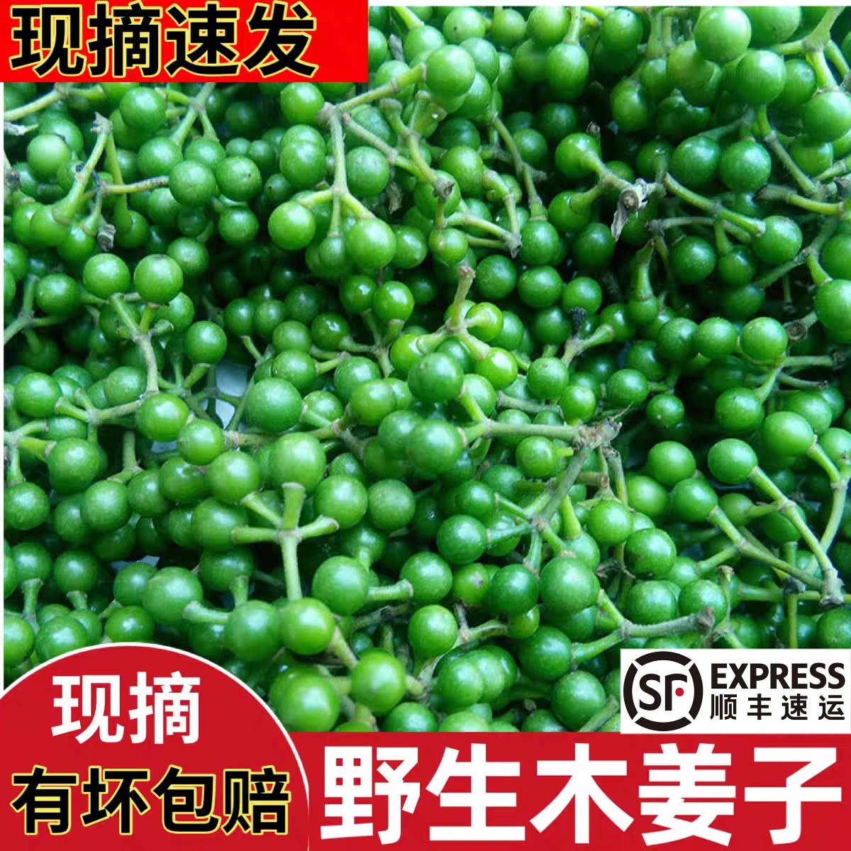 新鲜木姜子现摘山胡椒山苍籽木香子山鸡椒山姜子食用佐料
