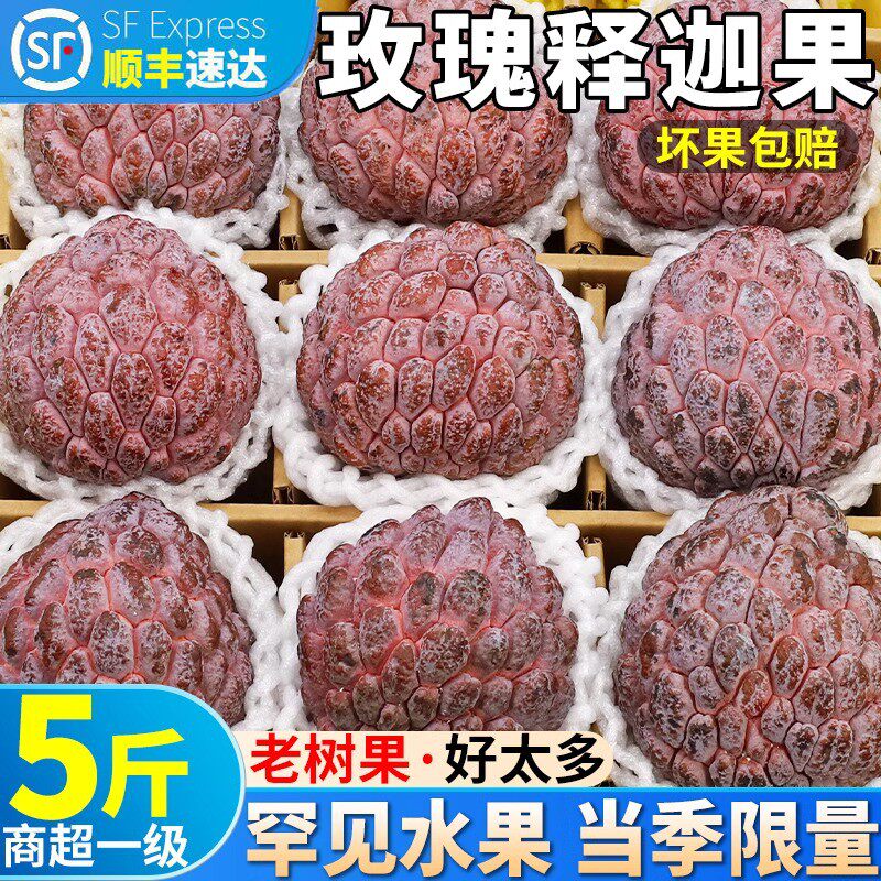 海南玫瑰释迦果当季孕妇水果现摘现发新鲜释迦果精品释迦高端水果