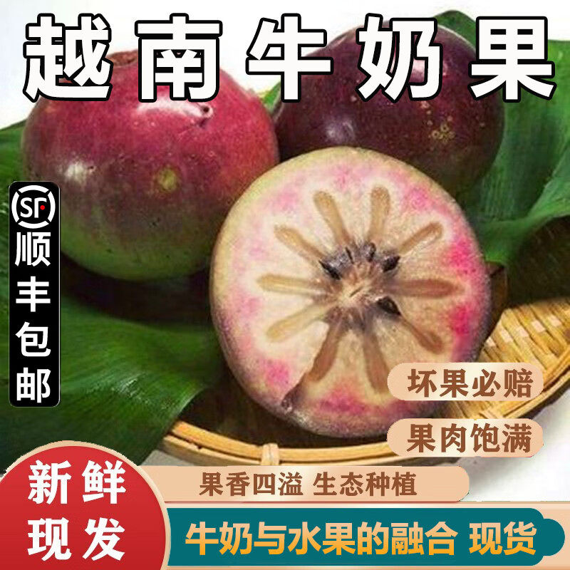 牛奶果越南引进新鲜高端高档送礼孕妇特别好吃热带应季水果包邮