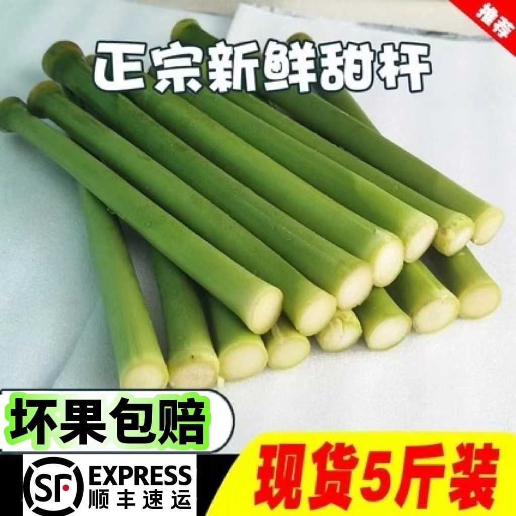 现砍现发新鲜甜芦粟甜杆甜高粱杆3斤小甘蔗当季水果芦穄芦稷