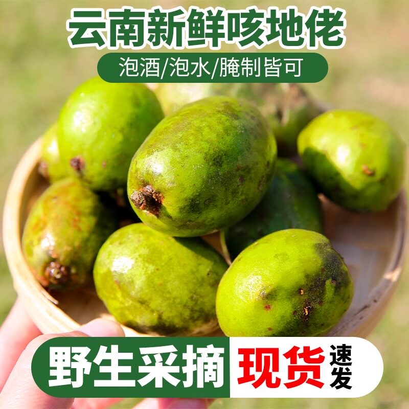 云南新鲜咳地佬克地佬泡酒滇青果现摘现发产地直发包邮损坏包赔
