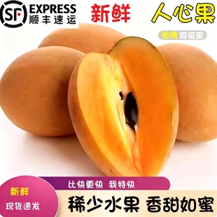 海南人心果现摘新鲜人参果热带水果孕妇长寿仙人参大果包罕见人参