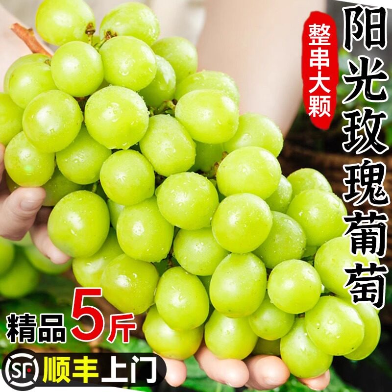 阳光玫瑰葡萄新鲜水果晴王葡萄无籽香印提子青提当季整箱新品套餐