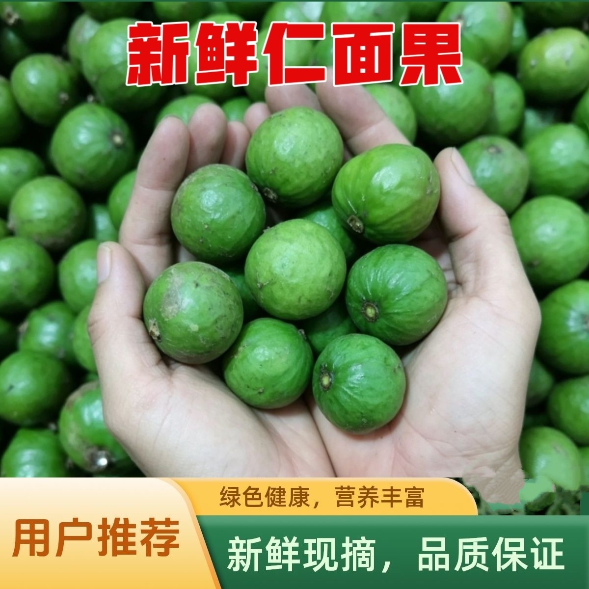 仁面果新鲜现摘银链果银莲仁稔银稔广东阳春特产人面果仁面子丑果