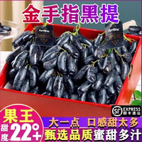 金手指黑提新鮮水果藍寶石葡萄美人指無籽黑加侖當季孕婦拇指提子