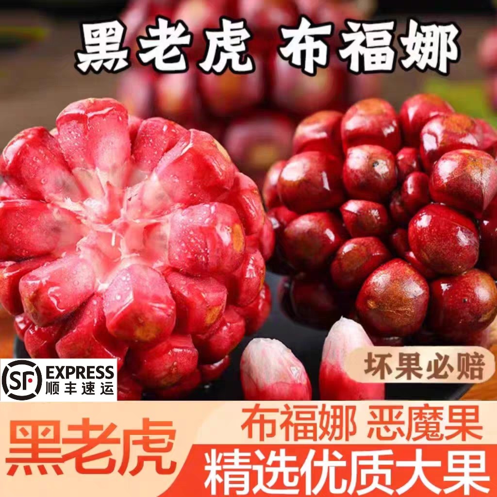 黑老虎布福娜果恶魔果实新鲜稀奇古怪的水果罕见稀有当季稀奇尝鲜