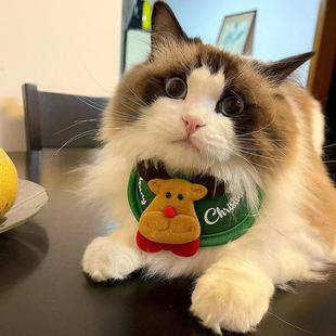 扮用品 宠物圣诞帽子狗狗猫咪口水巾围兜泰迪法斗博美秋冬衣服装