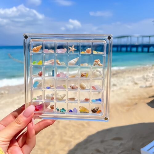把我在海边捡贝壳的日子框起来