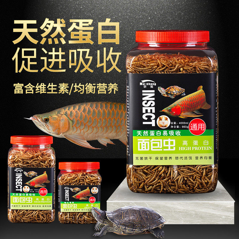 面包虫干鱼食乌龟饲料仓鼠图片