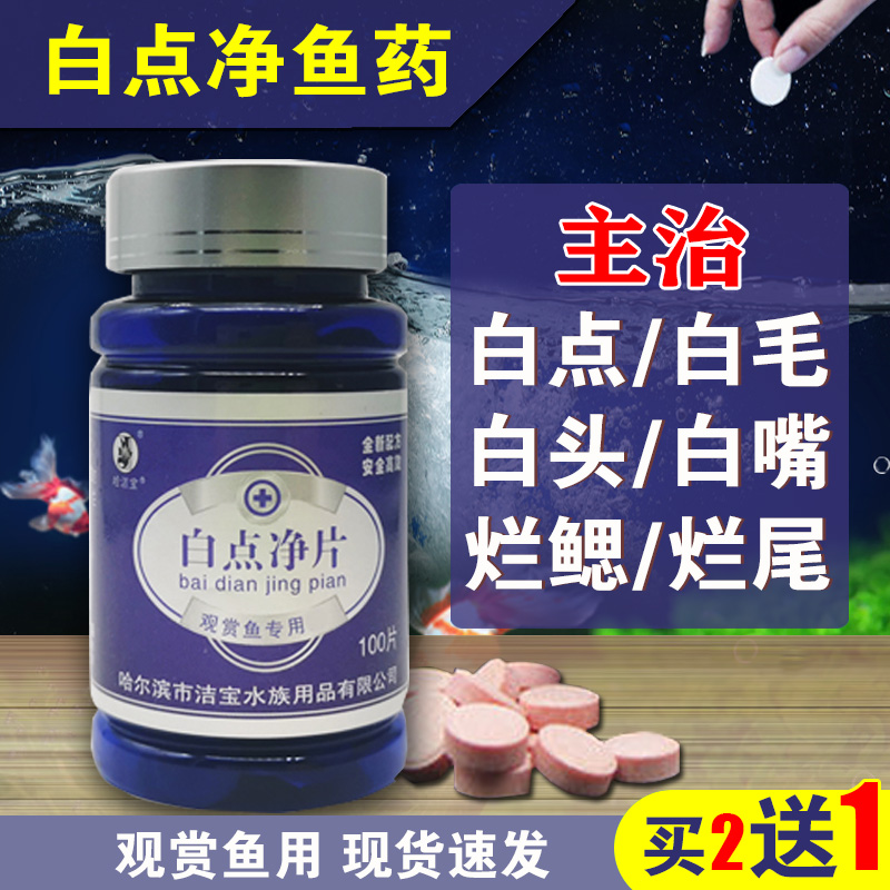 白点净鱼药病水霉小瓜虫专