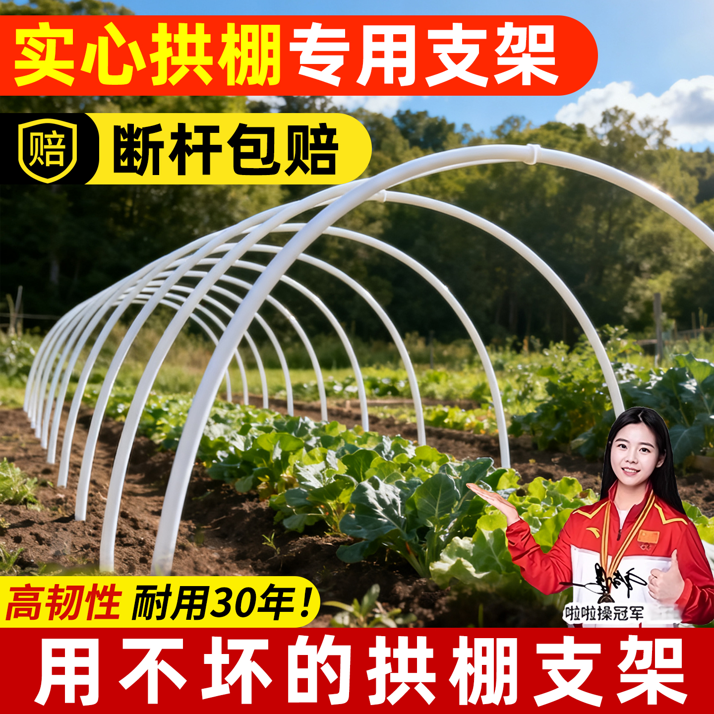 新型实心大棚支架种菜育苗小拱棚