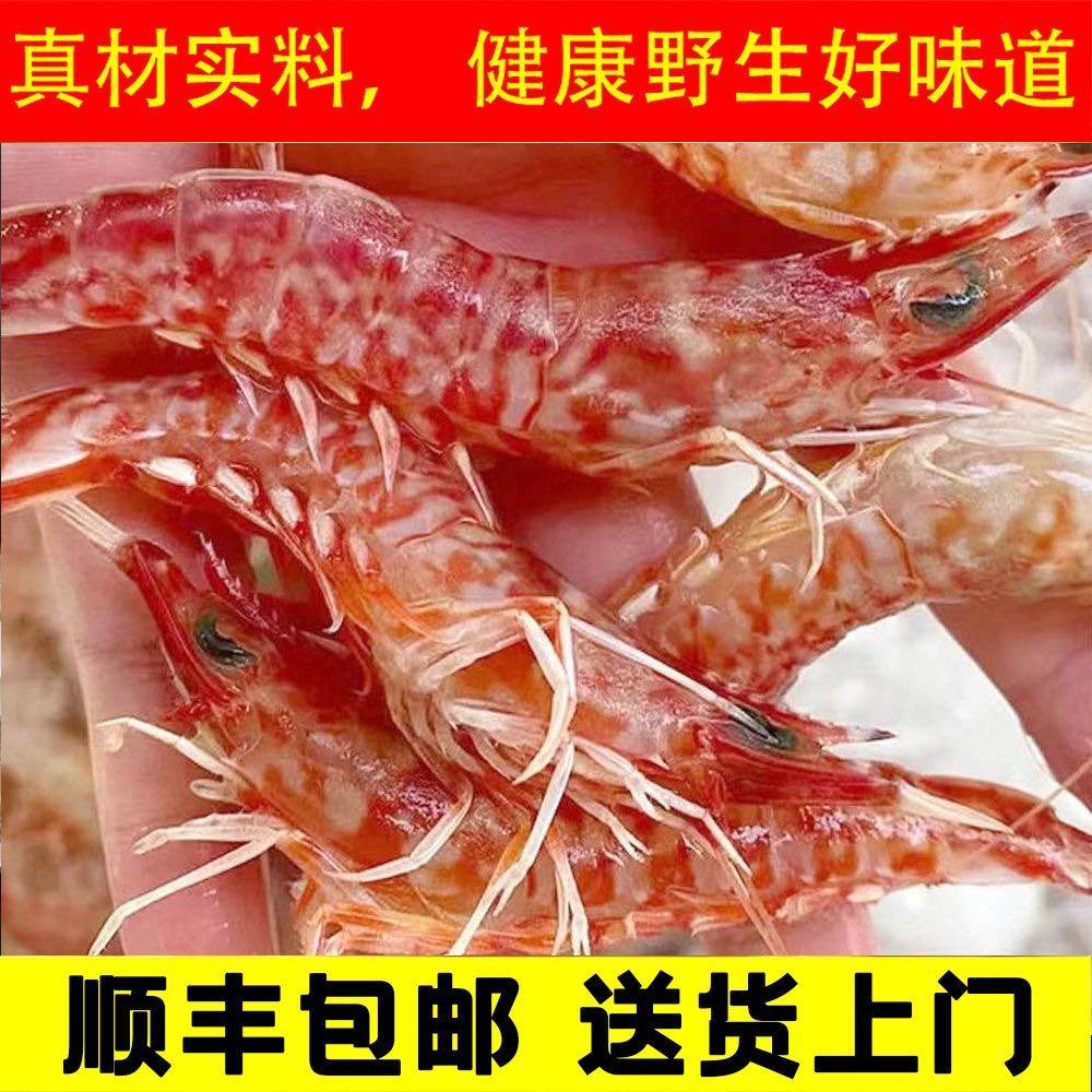 樱花虾野生舟山海捕近期新鲜冷冻刺身海虾铁壳虾火焰虾玫瑰虾生腌