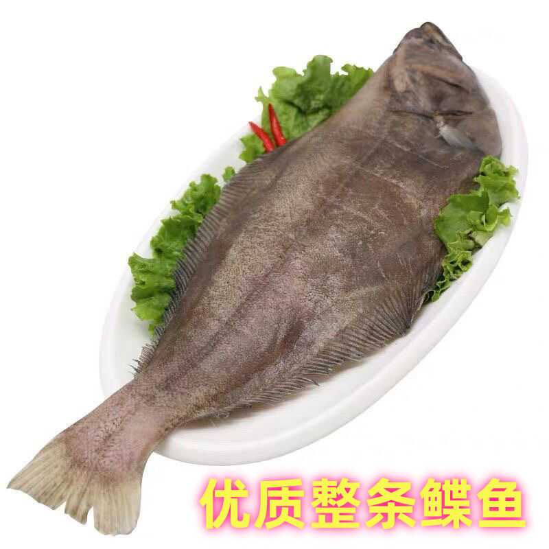 正品整条带头深海鸦片鱼比目鱼鲽鱼新鲜鲽鱼宝宝辅食冷冻水产顺丰