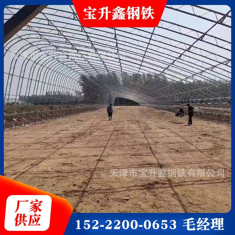 高档镀锌钢管大棚养殖大棚温室大棚钢结构蔬菜种植z大棚ins
