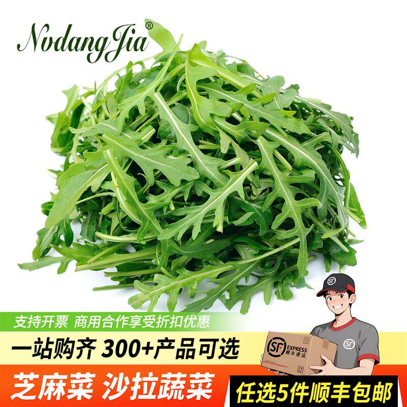 正货芝麻菜新鲜沙拉蔬菜食材火箭菜轻食色拉生菜即食沙拉芝麻叶50