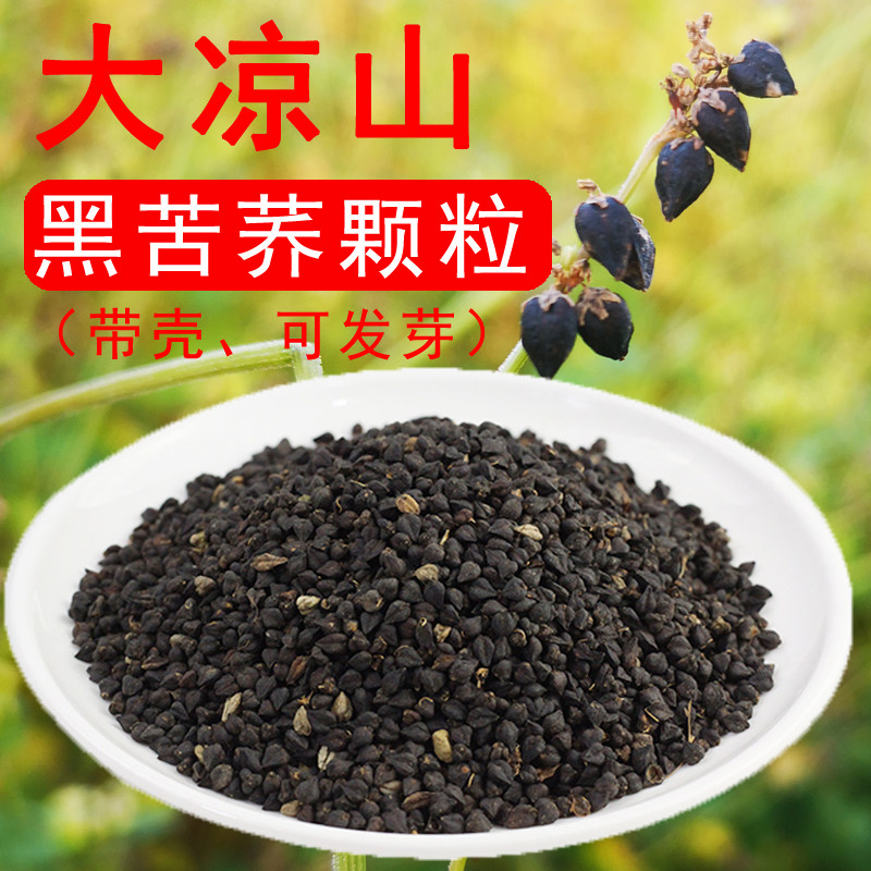 黑苦荞麦颗粒 大凉山带壳黑苦荞麦麦—黑苦荞麦 可做苦荞麦种 带