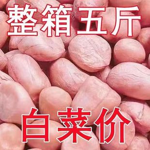 2024年新花生米生的花生米商用新鲜花生米白沙花生米批发价10斤装