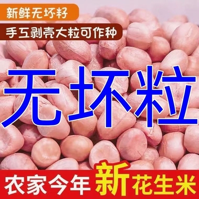 商用新鲜大颗粒白沙农家生花生米