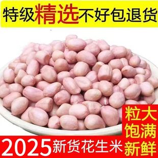 5斤25年当季 大颗粒花生新鲜正宗大白沙新花生米生商用无壳粉红皮