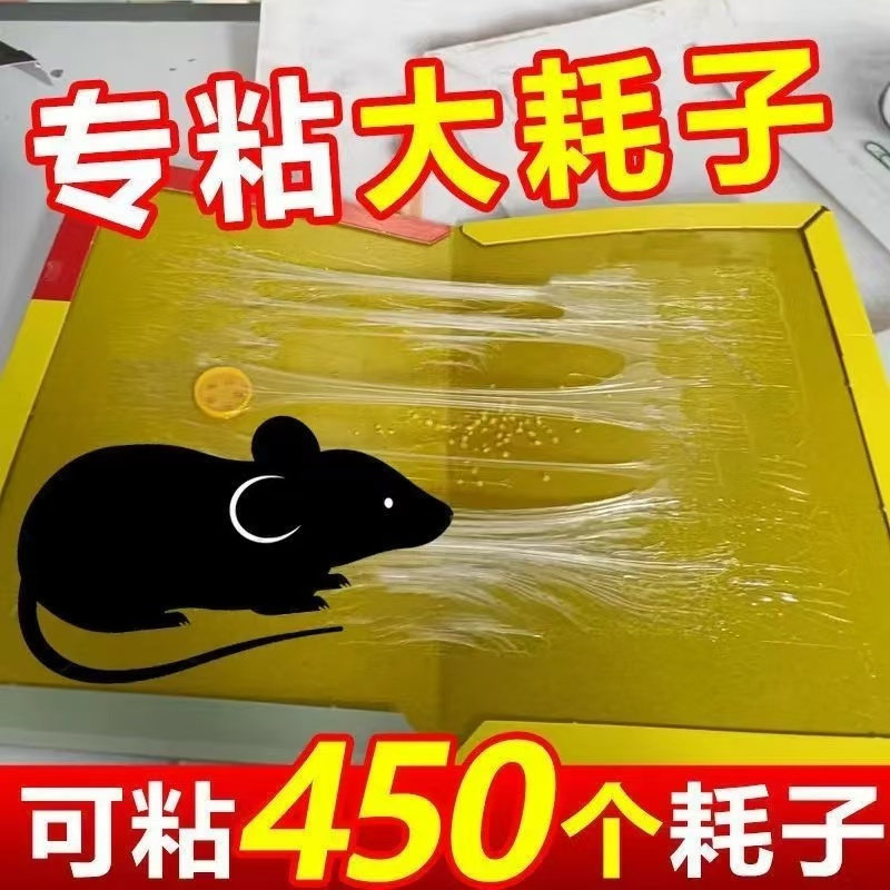 超强力粘鼠板家用捕鼠神器