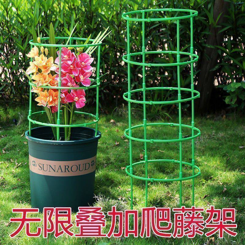 爬藤花架园艺支柱架阳台绿萝