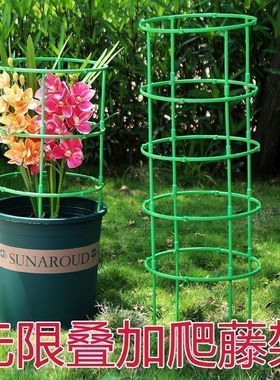 爬藤花架园艺支柱架阳台绿萝月季铁线莲藤本植物攀爬蟹爪兰支撑杆