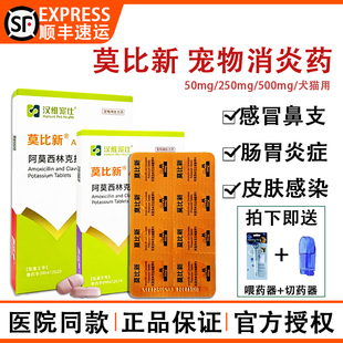 汉维宠仕莫比新阿莫西林克拉维酸钾狗猫鼻支咳嗽脓皮膀胱炎消炎药