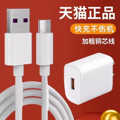 A(数码)按摩仪充电线适用SKG H5-2尊贵款颈椎按摩仪充电线器Type-c口USB数据线加长2米tybec大头宽口原套装