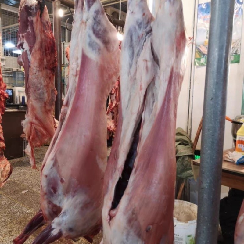 宁夏滩羊肉整只全羊白条羊腔子