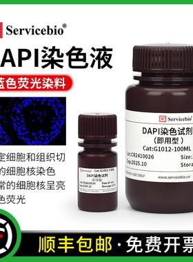 赛维尔 DAPI染色试剂（即用型）细胞核染色液呈亮蓝色荧光 IF可用