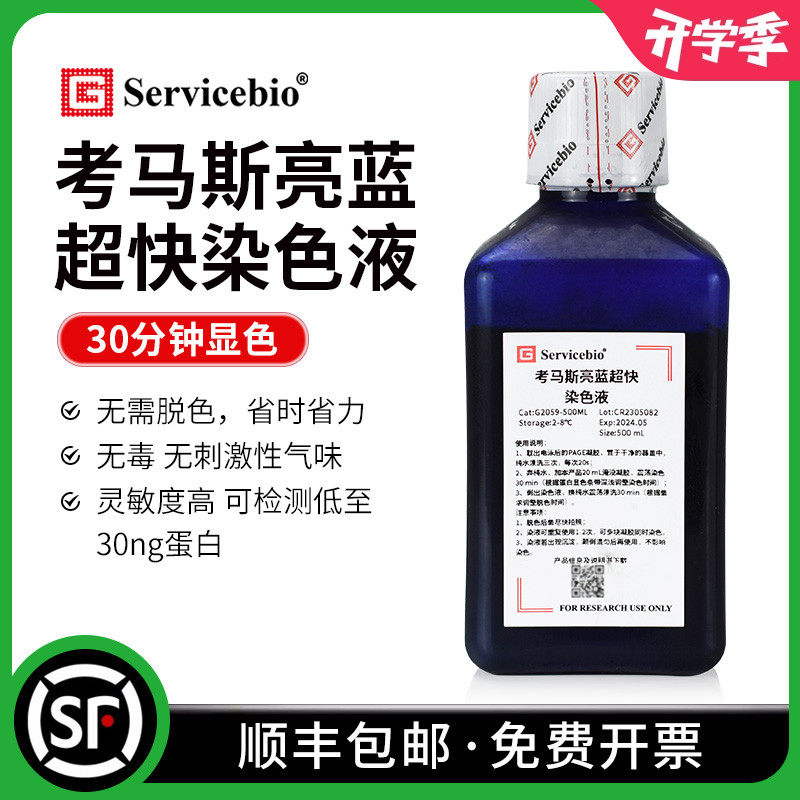 赛维尔 考马斯亮蓝超快染色液 page蛋白胶染色 无需脱色 灵敏度高