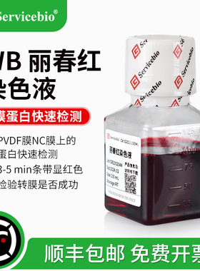 赛维尔 丽春红染色液 Ponceau S  WB膜上蛋白的快速检测 100ml