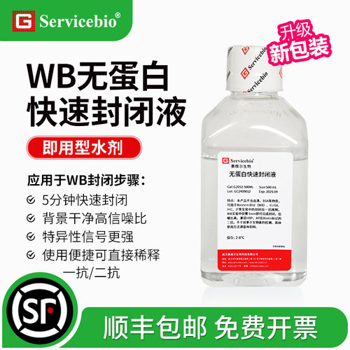 WB无蛋白快速封闭液 一抗稀释液 5min快速封闭 背景低 效果好