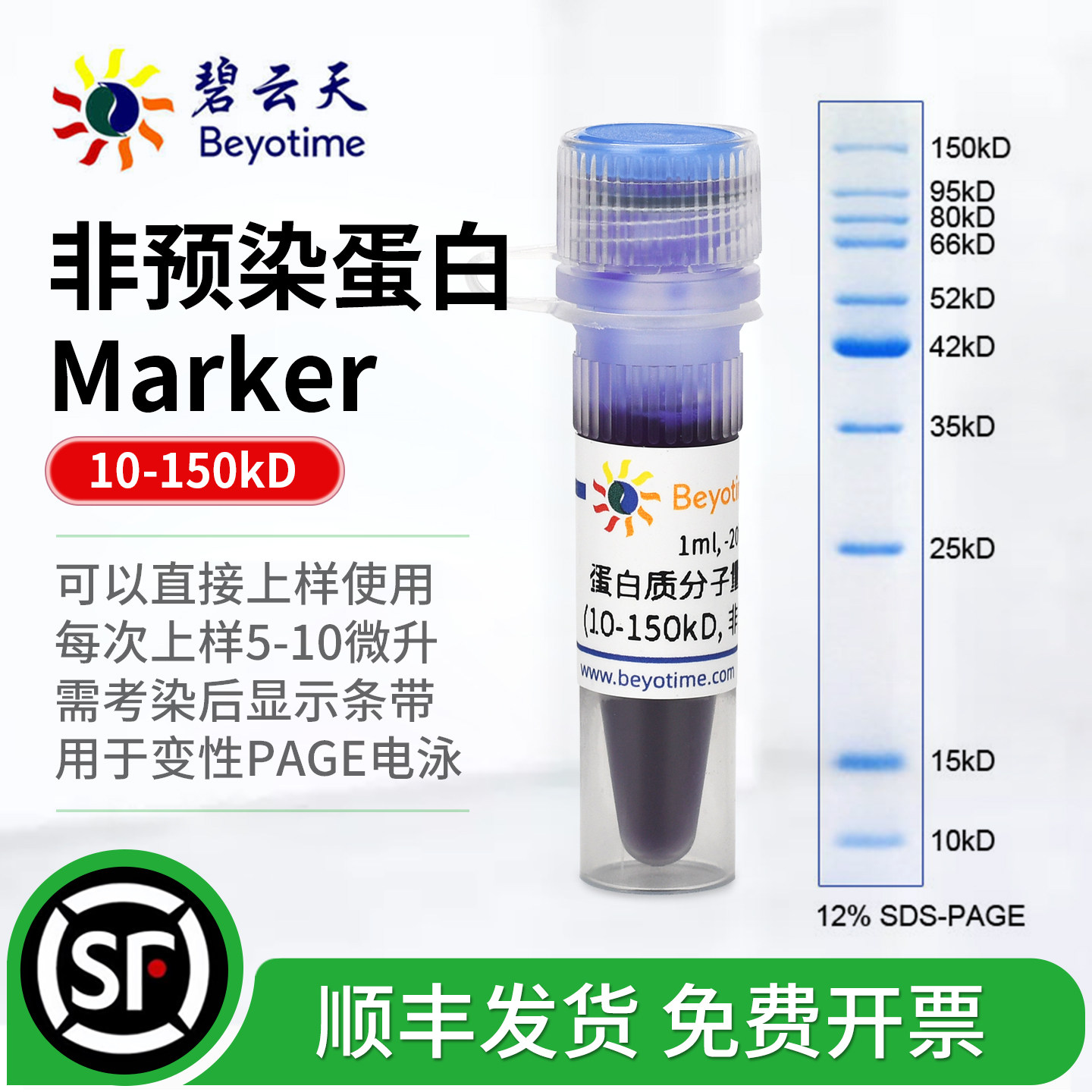 碧云天非预染蛋白分子量标准图片