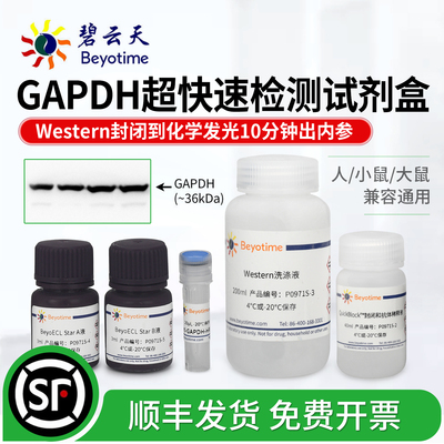 碧云天GAPDH超快速WB检测试剂盒