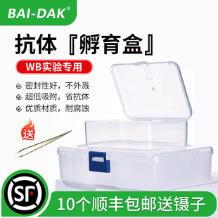 抗体孵育盒western blot免疫组化湿盒 洗膜盒 封闭盒 印迹检测盒