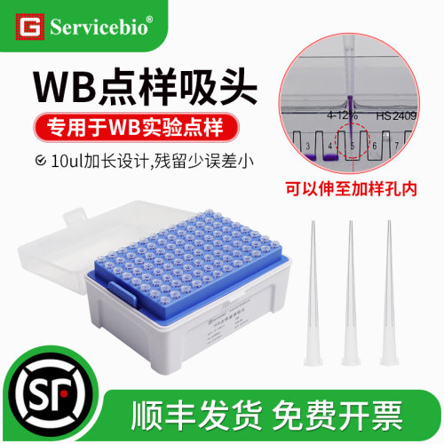 赛维尔WB点样吸头10ul200ul