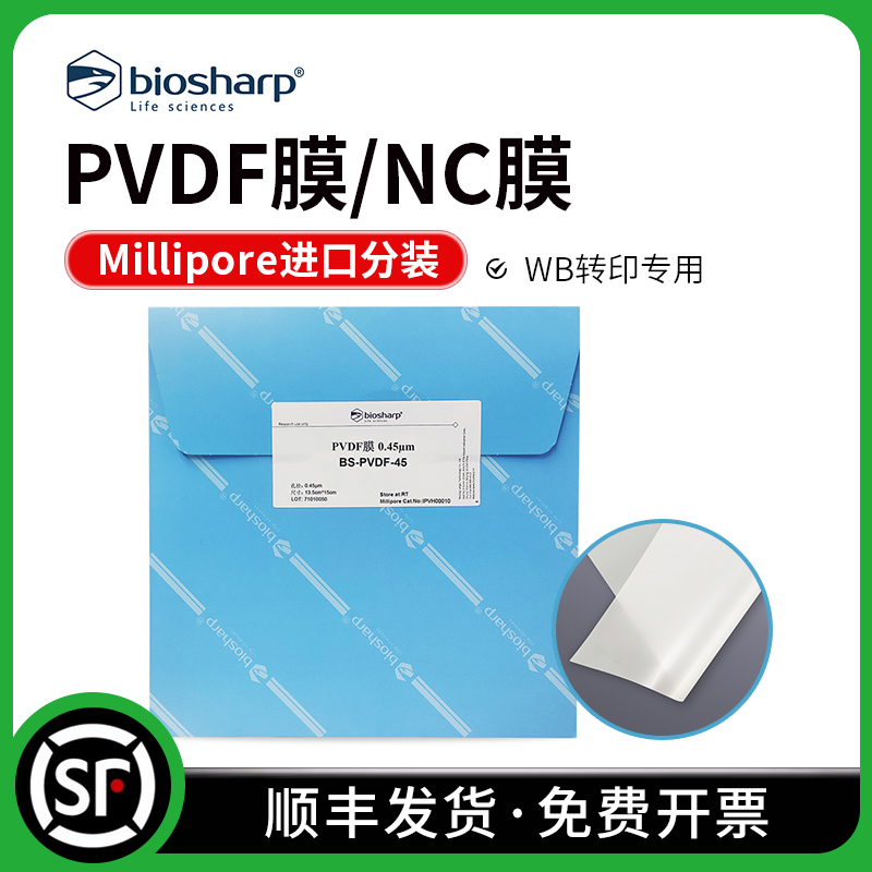 Biosharp实验耗材包邮PVDF膜