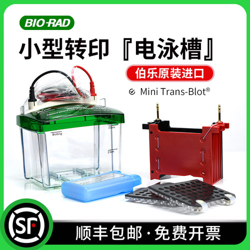 小型实验仪器BIO-RAD伯乐