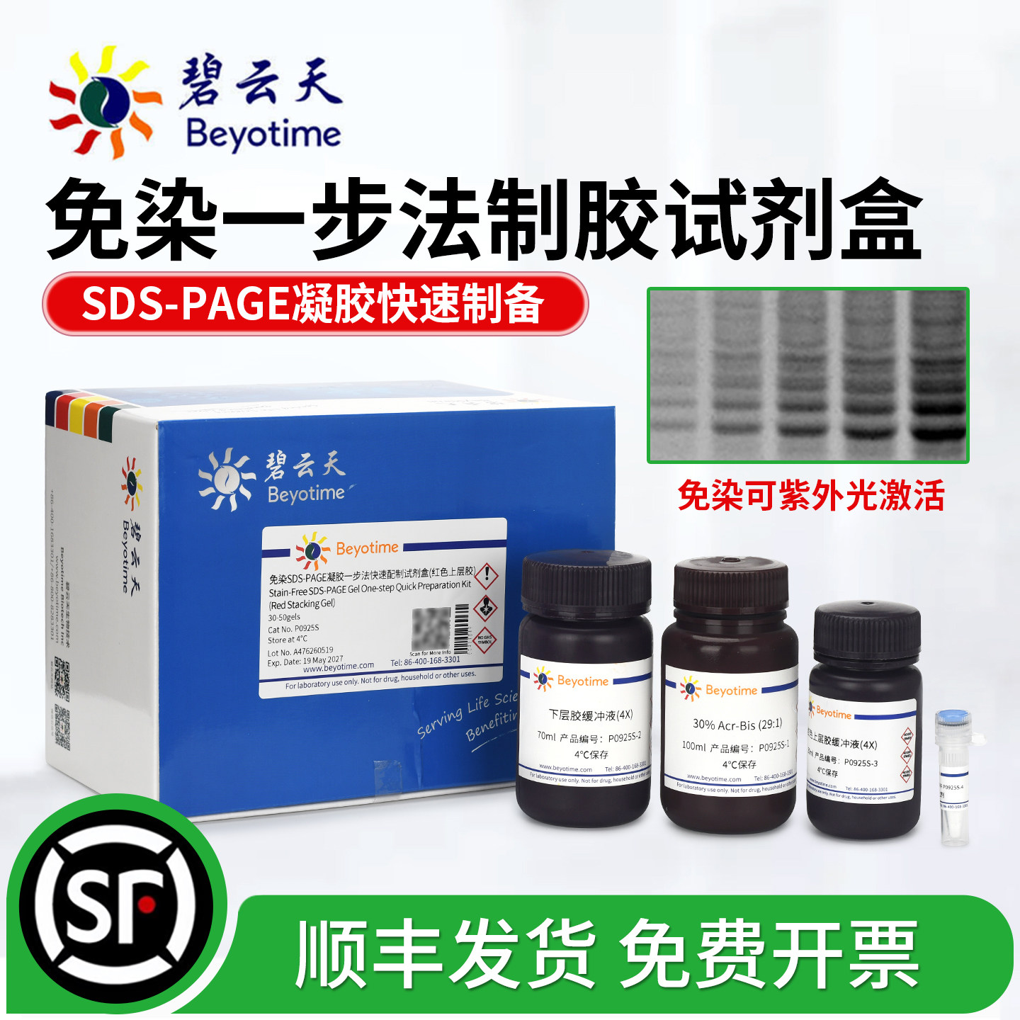 碧云天免染SDS-PAGE凝胶试剂盒