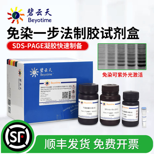 碧云天免染SDS-PAGE凝胶试剂盒