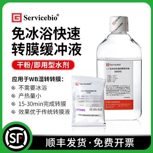 免冰浴快速转膜缓冲液转印液粉末即用型水剂 WB湿转无需冰袋G2028